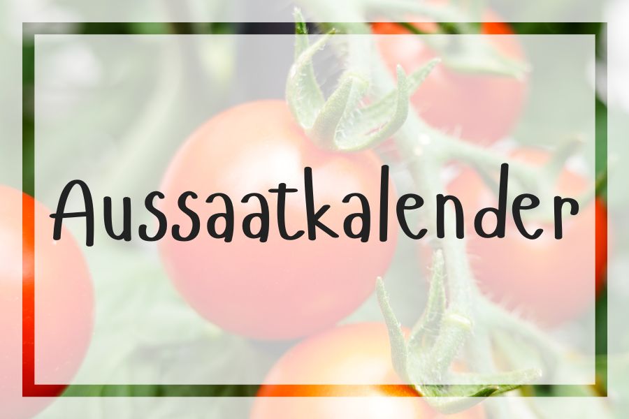 Aussaatkalender für den Balkon