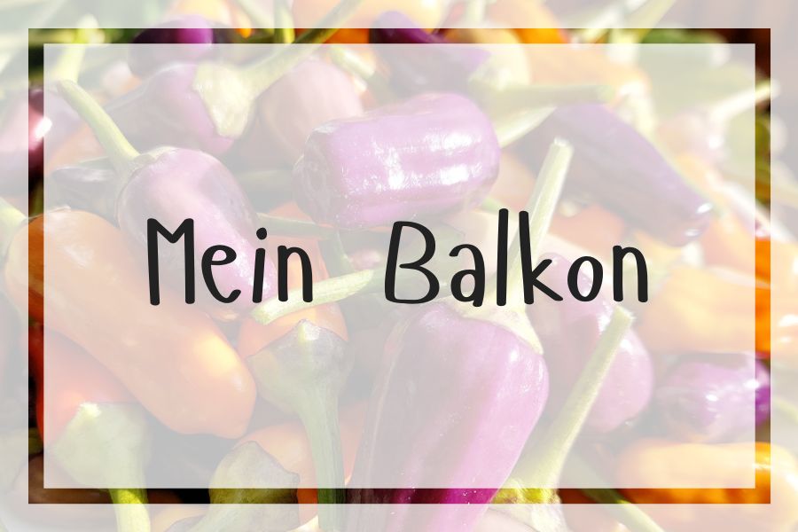 Balkongarten für kleinen Balkon