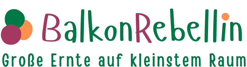 Balkongemüse anbauen Balkongarten Große Ernte auf kleinstem Raum