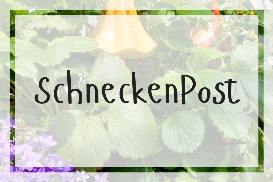 Schneckenpost - Tipps zum Anbau von Gemüse auf dem Balkon