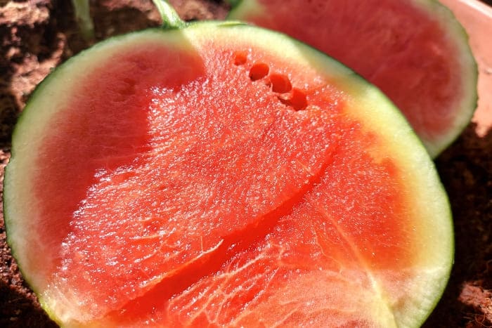 Wassermelone auf dem Balkon anbauen