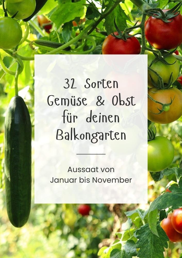 Aussaatkalender Balkongarten für Balkongemüse